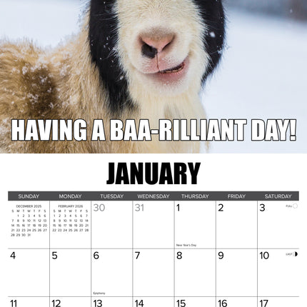 Willow Creek You Goat This Kalender 2026