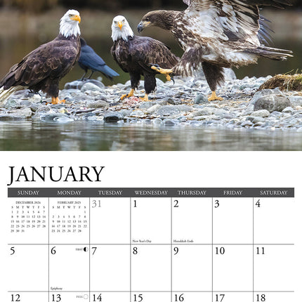 Willow Creek Zee Arend Kalender 2026