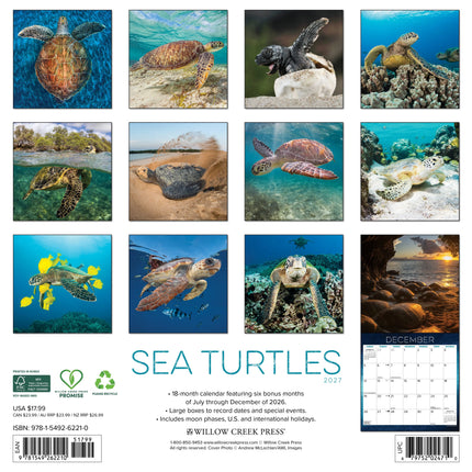 Willow Creek Zeeschildpadden Kalender 2027