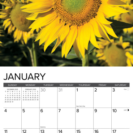Willow Creek Zonnebloemen Kalender 2026