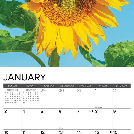 Willow Creek Zonnebloemen Kalender 2027