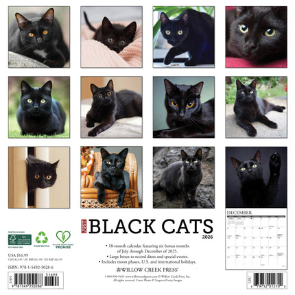 Willow Creek Zwarte Katten Kalender 2026