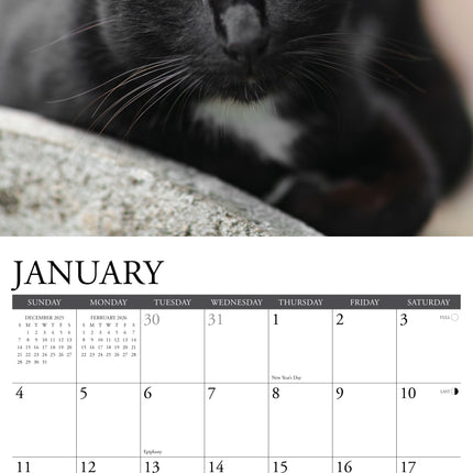 Willow Creek Zwarte Katten Kalender 2026